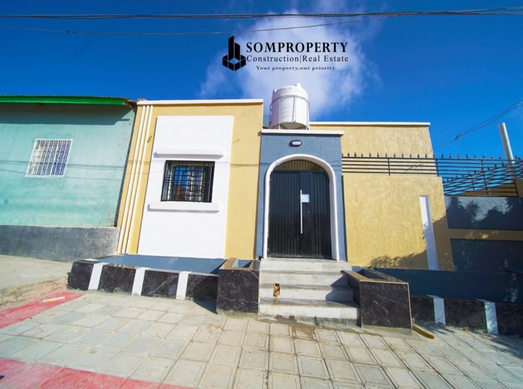 Dhismaha ID 24 367 - Image 14